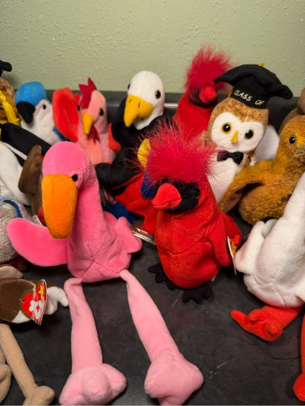 Ty Beanie Babies Bird and Graduation Owl Collection